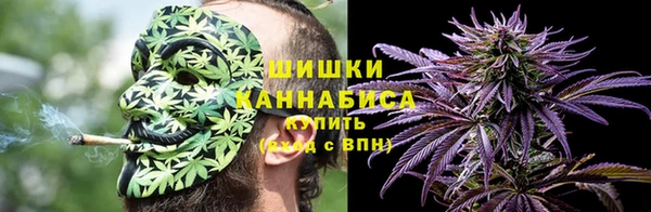 трава Беломорск